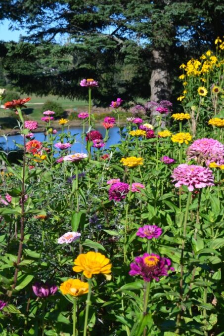 4 Hour Private Tour: Acadia, Fjord, Gardens & Mansions - Acadia National Park