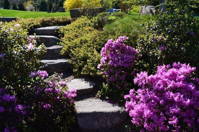 4 Hour Private Tour: Explore Acadia Natl Park, Fjord & Mansions - Climate-Controlled Vehicle Discovery