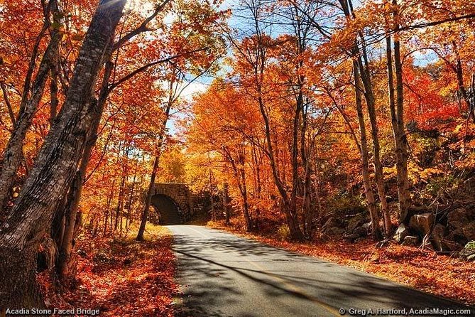 4 Hour Private Tour: Explore Acadia Natl Park, Fjord & Mansions - Flexible Schedule and Personalization