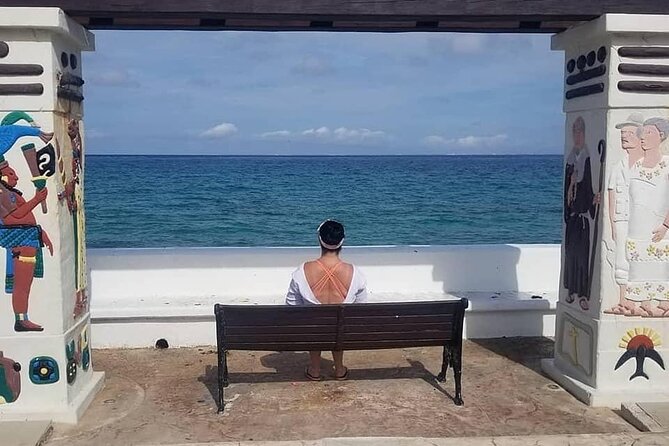 4-Hour Private Tour in Cozumel With Pickup - Inclusions and Amenities