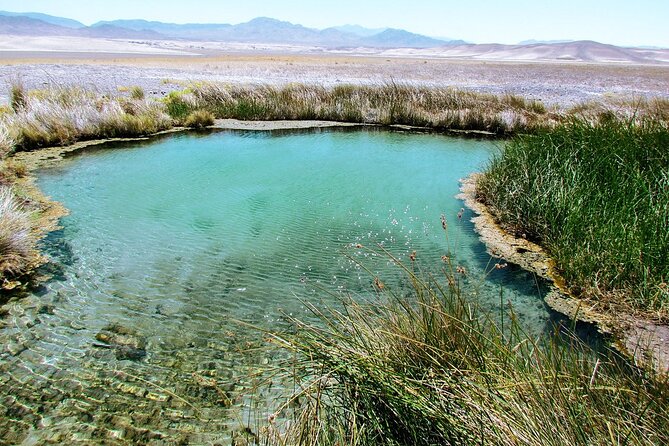 4-Hour Private Tour in Hidden Hot Springs Outside Death Valley - Personalized Service
