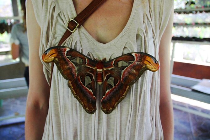 4-Hour Private Tour in Jatiluwih Terraces and Butterfly Park - Key Points