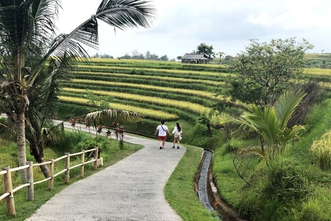 4-Hour Private Tour in Jatiluwih Terraces and Butterfly Park - Natural Beauty and Cultural Immersion