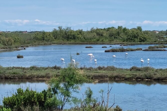 4-Hour Private Tour in the Northern Lagoon With Traditional Boat - Meeting and Pickup