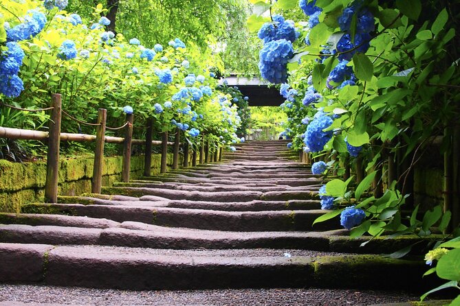 4-Hour Private Tour of Kamakura With Government-Licensed Guide - Suitability for Travelers
