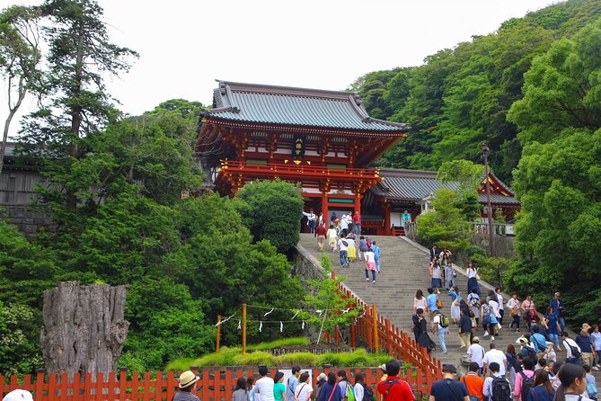 4-Hour Private Tour of Kamakura With Government-Licensed Guide - Pricing and Cancellation Policy
