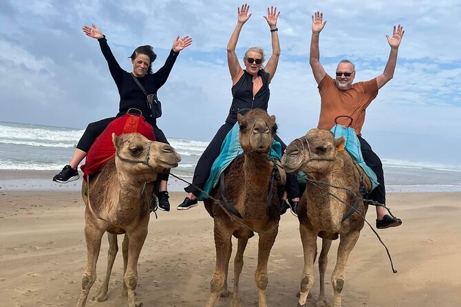 4 Hour Private Tour of Tangier - Inclusions and Exclusions