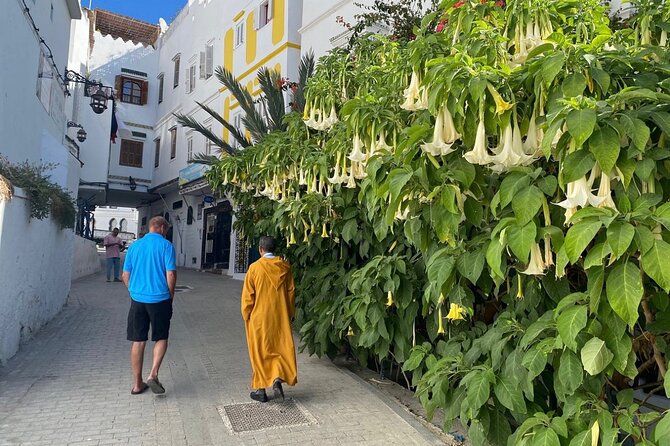 4 Hour Private Tour of Tangier - Booking and Cancellation