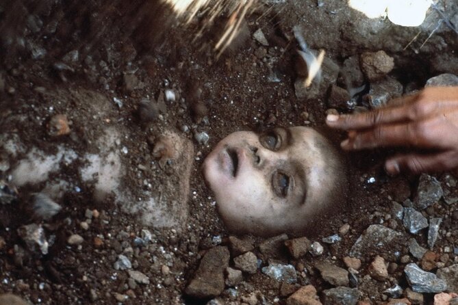 4-Hour Private Tour of the Bhopal Gas Tragedy Site - Exploring the Union Carbide Factory