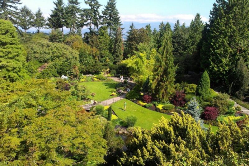 4-Hour Private Tour of Vancouvers Gardens - Dr. Sun Yat Sen Classical Chinese Garden