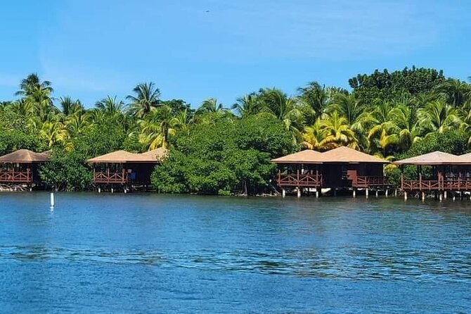 4-Hour Private Tour to Roatan Island - Customer Reviews