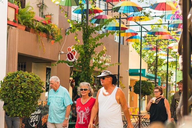 4-Hour Puerto Plata City Tour - Accessibility and Participation