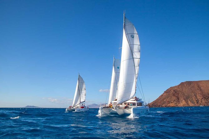 4-Hour Sailing Tour of Lobos Island From Fuerteventura - Onboard Activities and Amenities