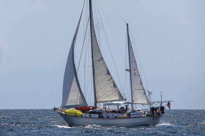 4 Hour Sailing Tour of Vineyard Haven Harbor and Sound - Key Points
