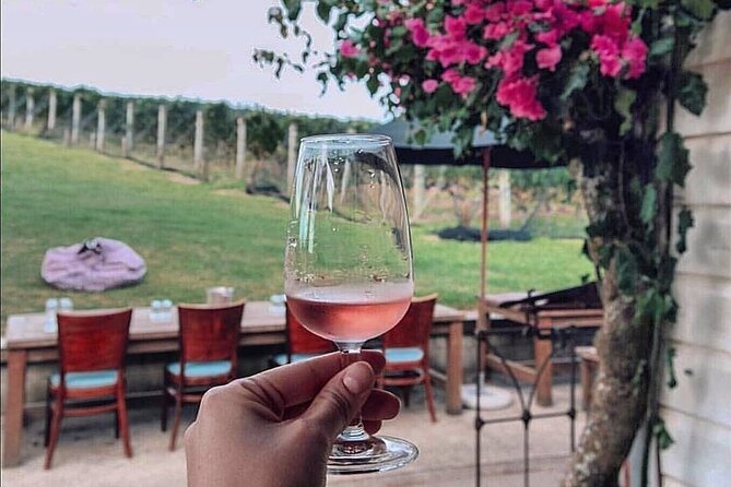 4-Hour Scenic Wine Tour With a Private Guide and 12 Tastings - Meeting and Pickup