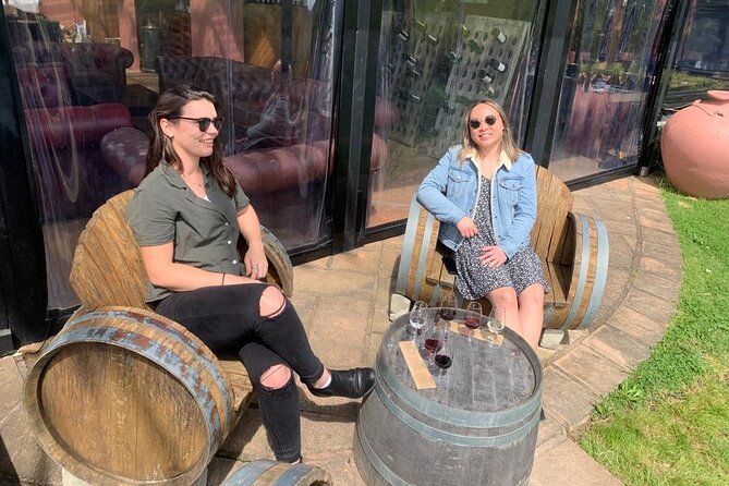 4-Hour Scenic Wine Tour With a Private Guide and 12 Tastings - Private Transportation