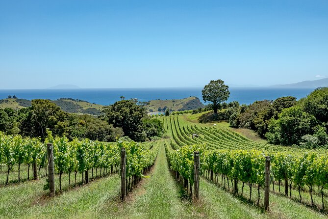 4-Hour Scenic Wine Tour With a Private Guide and 12 Tastings - Lunch and Alcohol