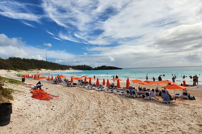 4 Hour Shared Pink Beach Excursion in Bermuda - Positive Experiences