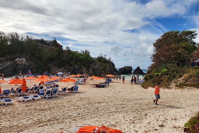 4 Hour Shared Pink Beach Excursion in Bermuda - Potential Challenges