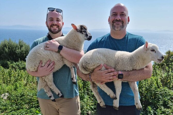 4 Hour Slea Head Drive Tour - Personal Chauffeur Guided Tour - Booking Information