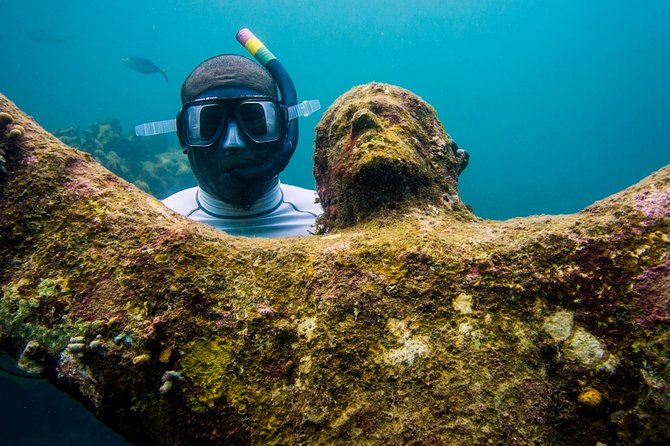 4-Hour Snorkel Cruise to Underwater Sculptures With Boat Dogs - Overview of the Tour