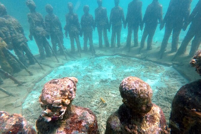 4-Hour Snorkel Cruise to Underwater Sculptures With Boat Dogs - Highlights and Recommendations
