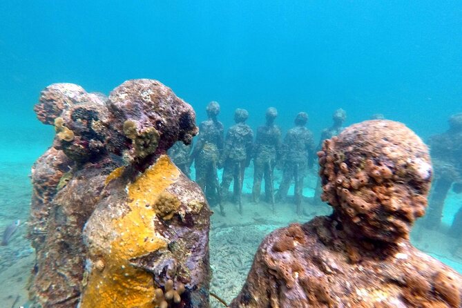 4-Hour Snorkel Cruise to Underwater Sculptures With Boat Dogs - Diverse Marine Life Encounters