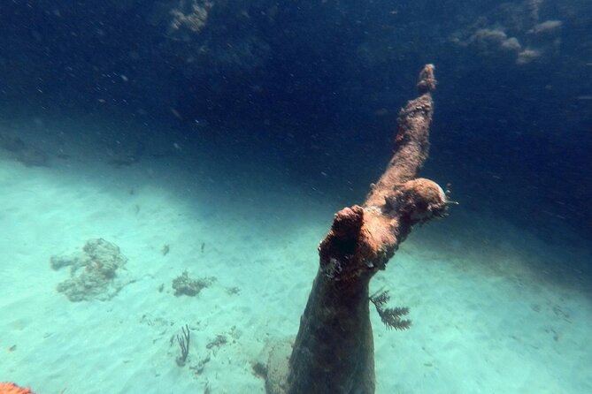 4-Hour Snorkel Cruise to Underwater Sculptures With Boat Dogs - Relaxation at Flamingo Bay