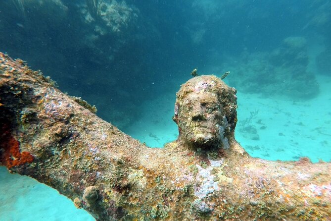 4-Hour Snorkel Cruise to Underwater Sculptures With Boat Dogs - Exceptional Hospitality and Service