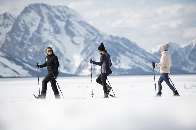 4 Hour Snowshoe in Grand Teton National Park - Snowshoeing in the Parks Rolling Hills