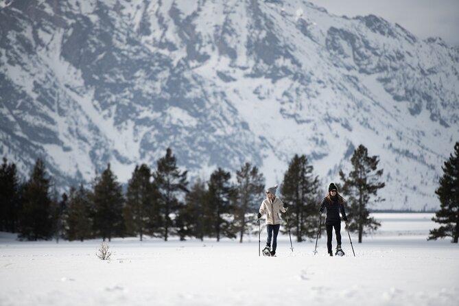 4 Hour Snowshoe in Grand Teton National Park - Provided Equipment and Gear