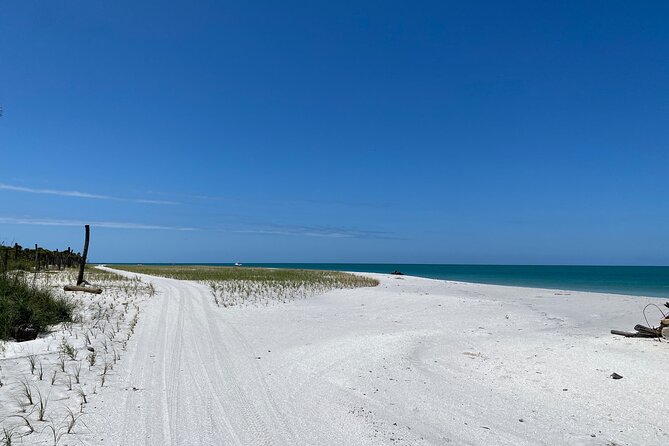 4-Hour St. Pete Pier to Egmont Key Experience by Ferry - Snorkeling and Marine Life Sightings