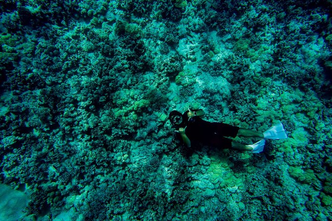 4 Hour Super-Raft Snorkeling Experience in Kailua-Kona - Why Choose This Activity
