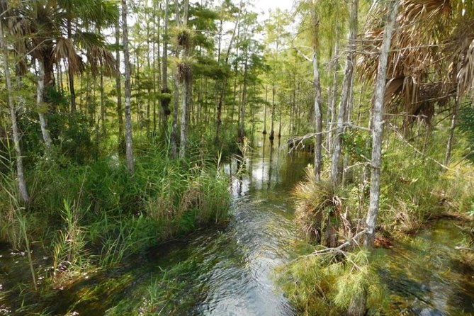 4-Hour Swamp Buggy Adventure Tour in Florida - Whats Included