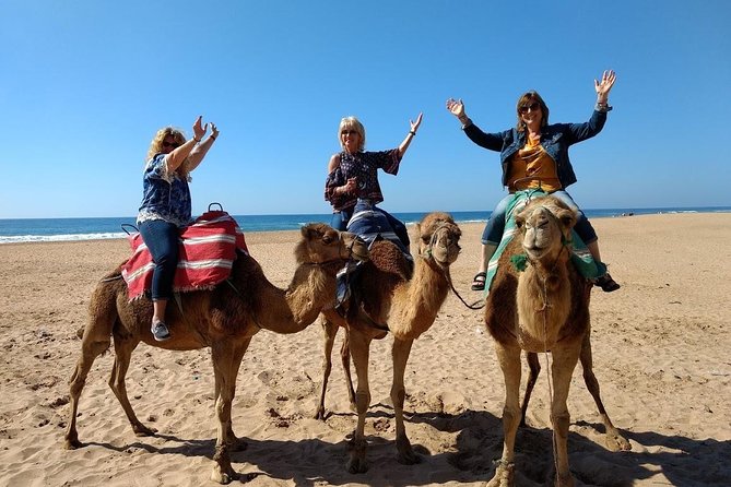 4 Hour Tangier City Private Tour - Touring the Kasbah Museum
