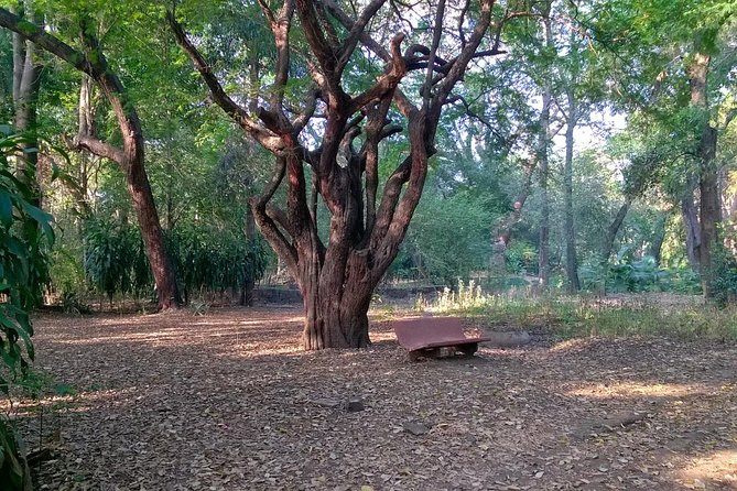 4-Hour Tour: Pune University Complex Cycling Private Tour - Participant Requirements