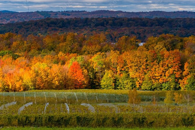 4-Hour Traverse City Sunset Wine Tour: 3 Wineries on Old Mission Peninsula - Inclusions