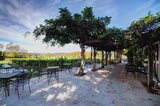 4-Hour Traverse City Sunset Wine Tour: 3 Wineries on Old Mission Peninsula - Locally Crafted Cheeses