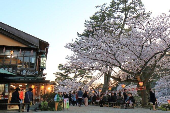 4 Hour Unique Kanazawa Cherry Blossom Sakura Private Experience - Meeting and Pickup Details