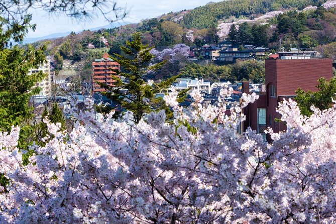 4 Hour Unique Kanazawa Cherry Blossom Sakura Private Experience - Private Tour and Activity
