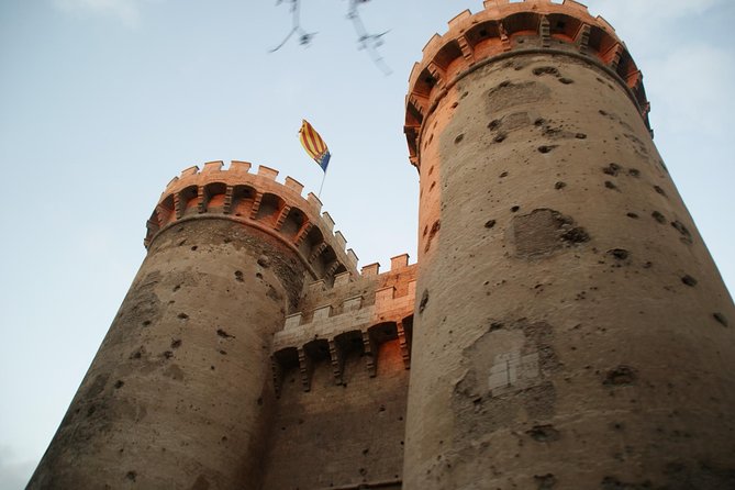 4-Hour Valencia Private Tour With Transport - Group Size and Accessibility