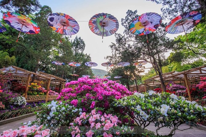 4-Hour Wuxi Private Tour: Huishan Old Town, Jichang Garden and Nanchan Temple - Nanchan Temple Tour