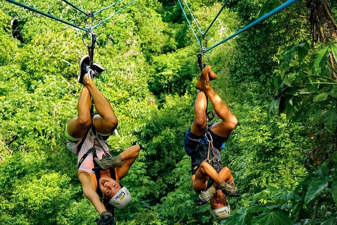 4 Hour Zipline Circuit Adventure in Punta Cana - Adventure Overview