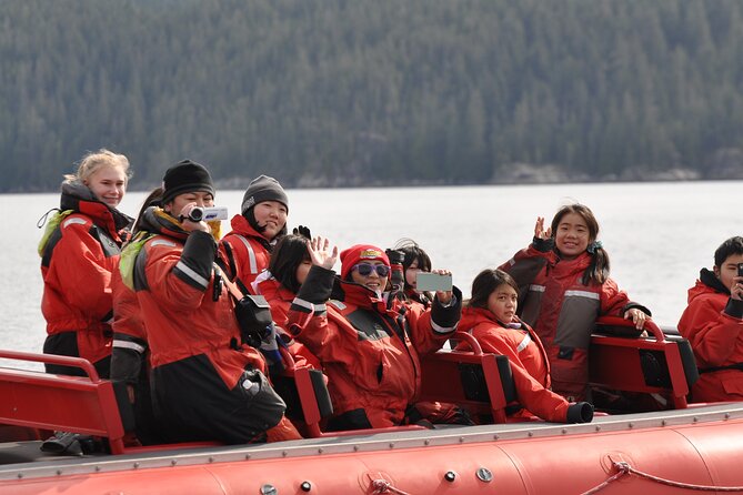 4 Hour Zodiac Whale and Wildlife Tour - Tour Duration and Timing