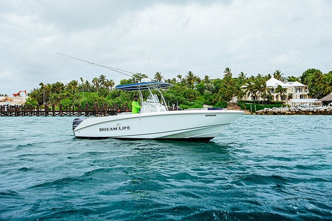 4 Hours 27FT Dream Life Private Charter in Nassau - Boat and Amenities