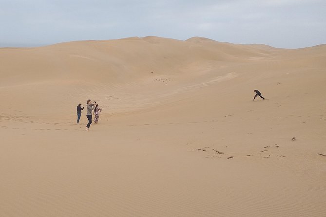 4 Hours.Agadir : Trip to Sahara and Tifnit Fishing Village - Accessibility