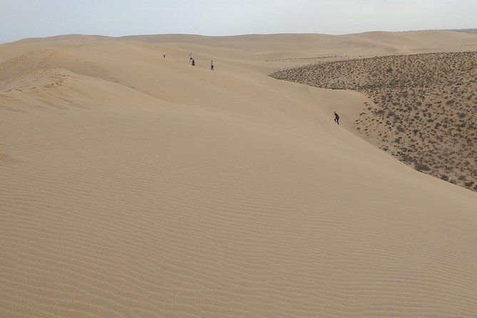 4 Hours.Agadir : Trip to Sahara and Tifnit Fishing Village - Tifnit Fishing Village