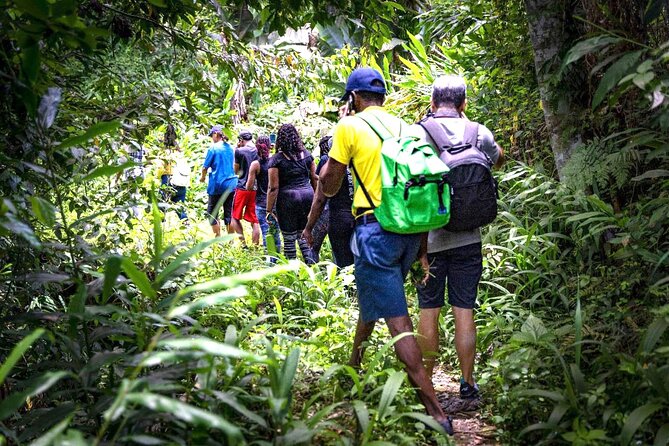 4-Hours Bike, Hike & Waterfall Tour in Blue Mountain With Lunch and Pick up - About Your Stay