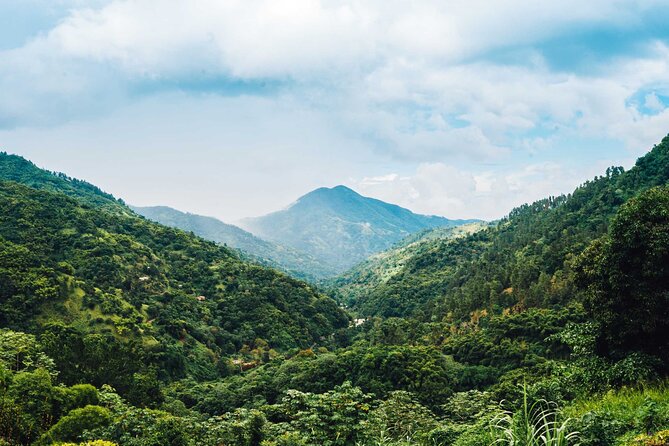 4-Hours Bike, Hike & Waterfall Tour in Blue Mountain With Lunch and Pick up - Health & Safety Guidelines