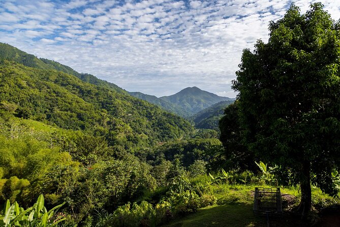 4-Hours Bike, Hike & Waterfall Tour in Blue Mountain With Lunch and Pick up - Exploring the Blue Mountains